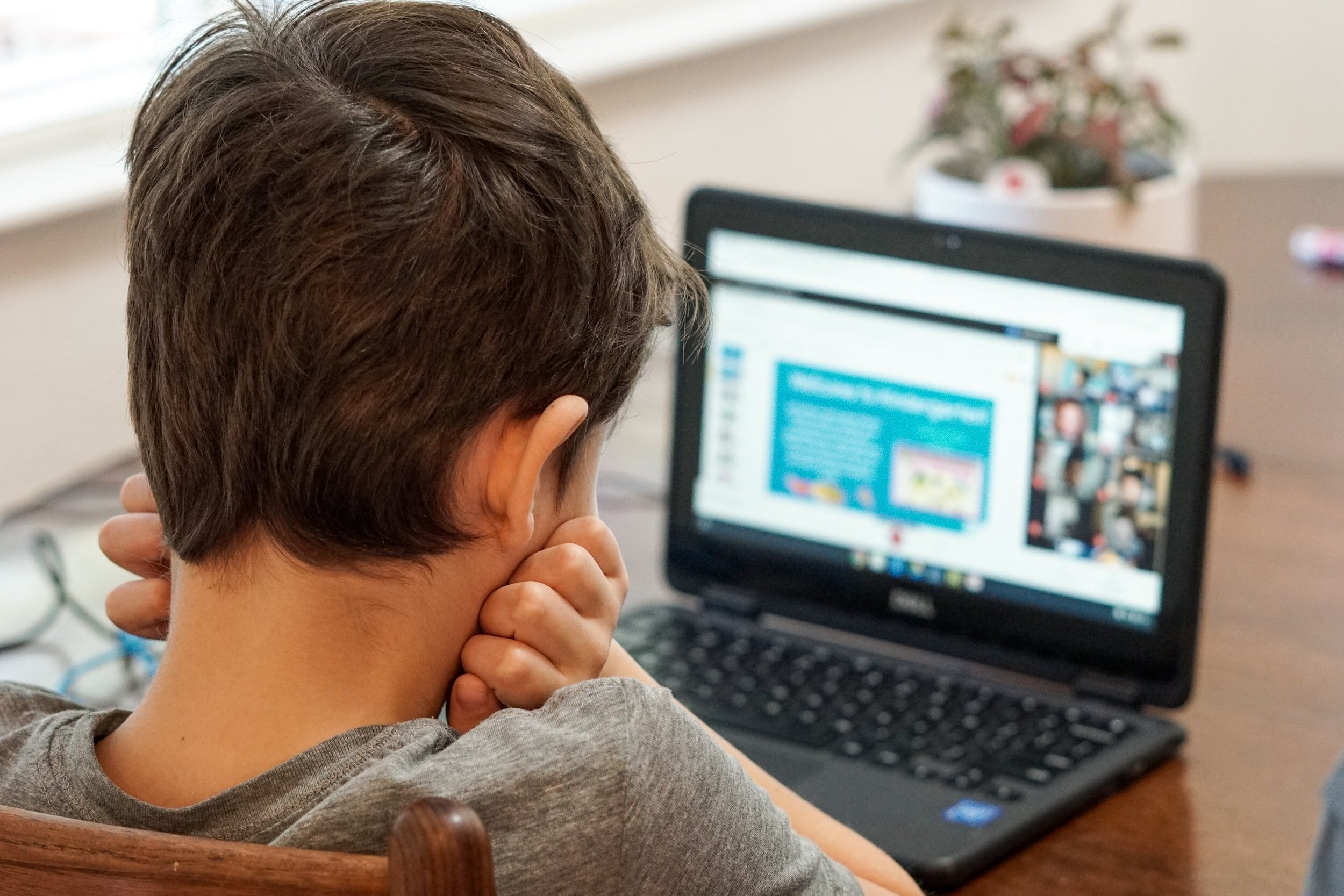 Screen time, emotional health among parents' top concerns for children during pandemic